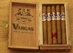 Vargas Petitos 